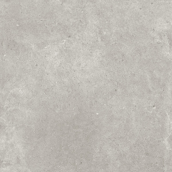 PARADIGM TORTORA 600X600 LAPPATO