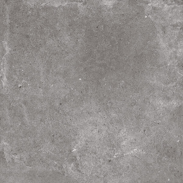 PARADIGM GREY 450X450 MATT UNREC