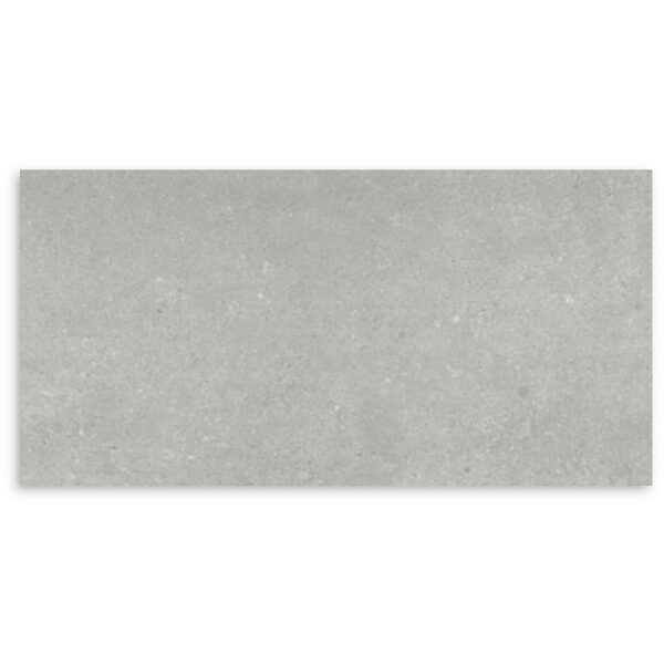 PARADIGM GREY 300X600 LAPPATO