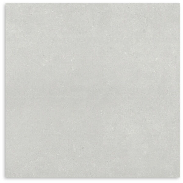 PARADIGM LIGHT GREY 600X600 LAPPATO