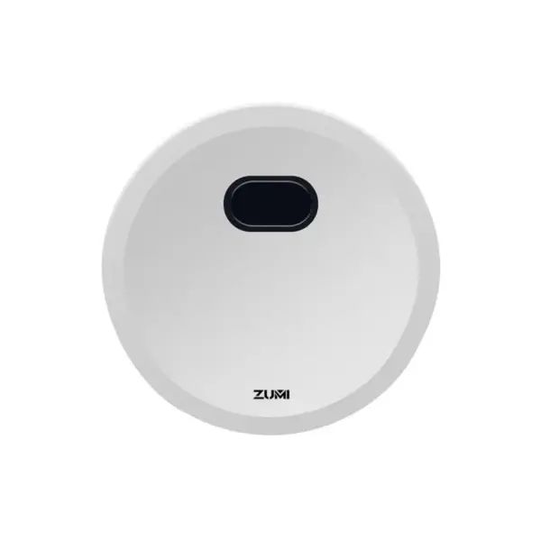 Z-Tech Auto Flush