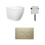 Venus Rimless Floor Pan with ROUND Brushed Gold Stainlless Steel Flush Plate