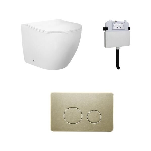 Venus Rimless Floor Pan with ROUND Brushed Gold Stainlless Steel Flush Plate