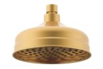 ADP JTAPSRSOE ETERNAL SHOWER ROSE CHROME & COLOURED - Urban Designs Bathroom and Kitchen