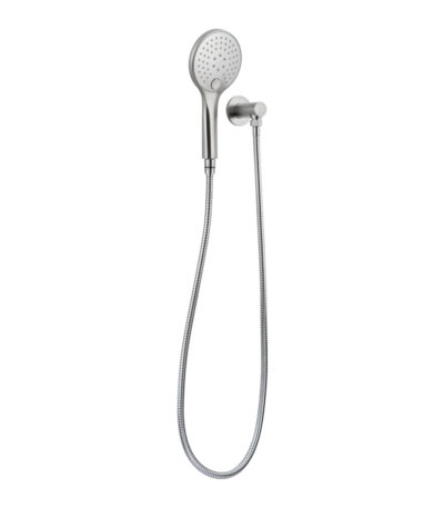 Aliro Accessible 3-Function Hand Shower Set - Stainless Steel