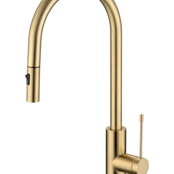 Aziz-II Pull Out Sink Mixer - Brushed Gold | PCC1003BG