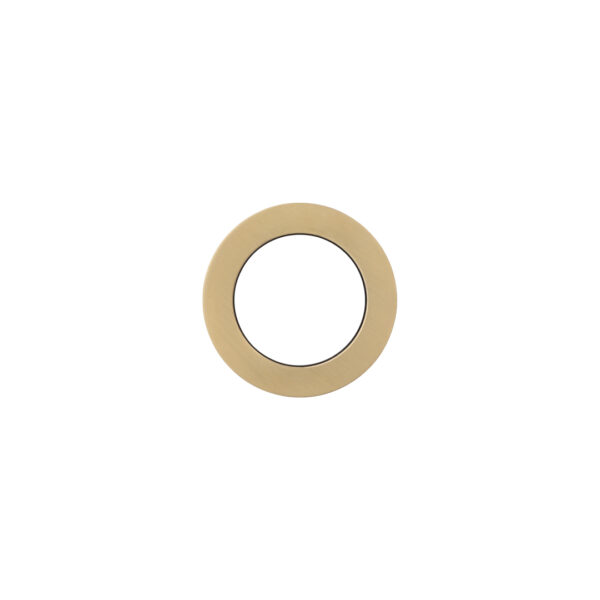 Backplate - 62mm Minimal/Progressive - Brushed Brass