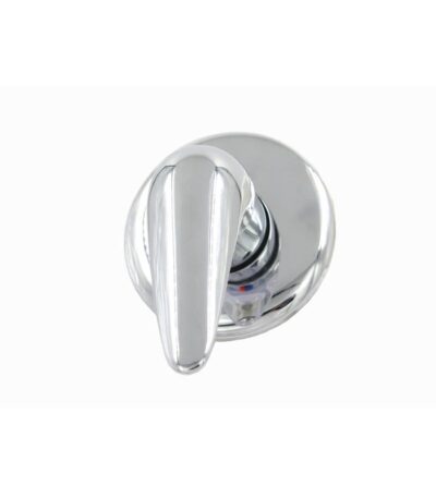 BADUNDKUCHE BKMT003 WÄHLEN 10 SHOWER MIXER 40MM CHROME - Urban Designs Bathroom and Kitchen