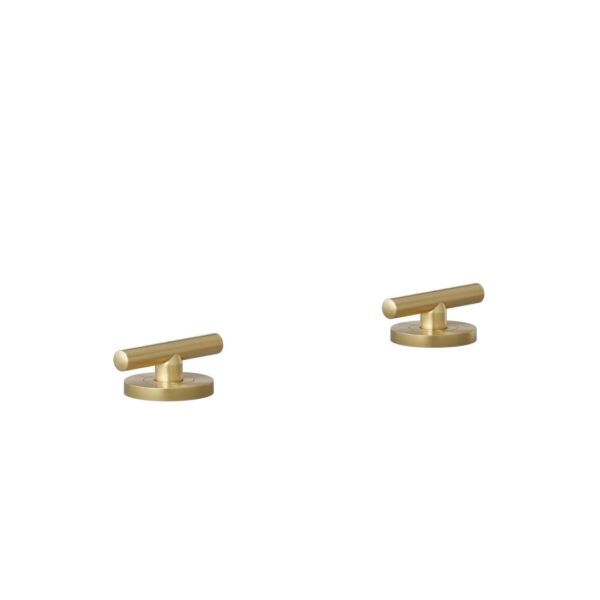 Barre Assembly Bench-Mounted Taps - Brushed Brass