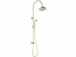 Clasico Combination Shower Set - Brushed Gold | HPA868-201BG
