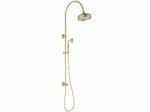 Clasico Combination Shower Set - Brushed Gold | HPA868-201BG