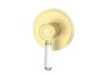 Clasico Wall Mixer Trim Kits Ceramic handle - Brushed Gold | HYB868-301ATK-BG