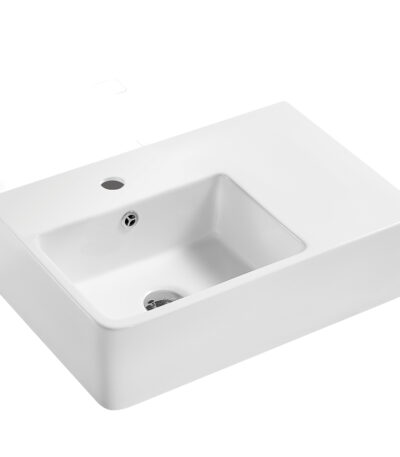 Delta Care Left-Hand Wall Basin