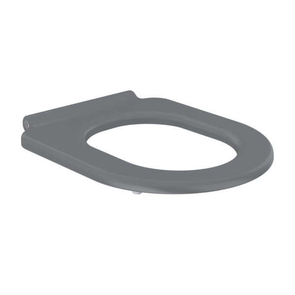 Delta Care Toilet Seat, Gloss Grey