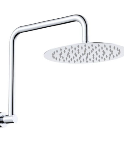 Fienza Kaya Gooseneck Shower Arm Set Chrome