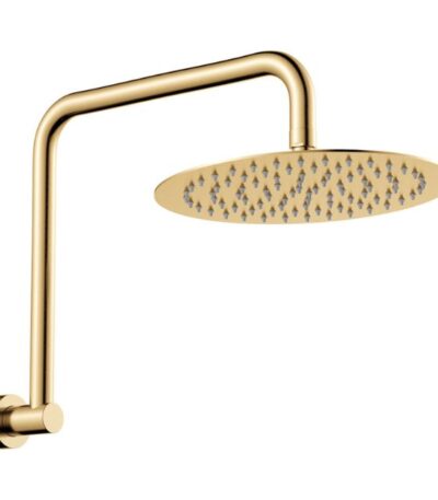 Fienza Kaya Gooseneck Shower Arm Set Urban Brass