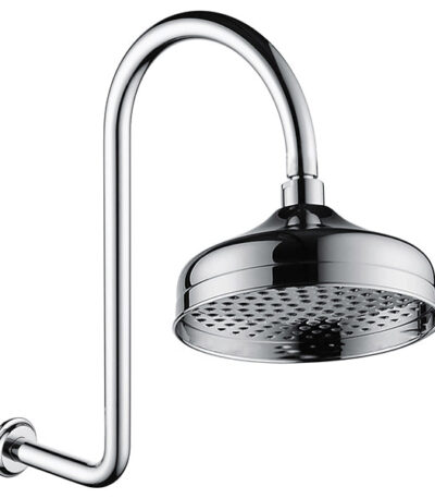 Fienza Lillian Wall Arm Shower Set