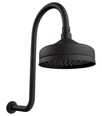 Fienza Lillian Wall Arm Shower Set - Matte Black