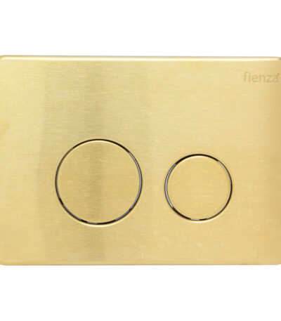 Fienza R&T Round Button Flush Plate, Urban Brass