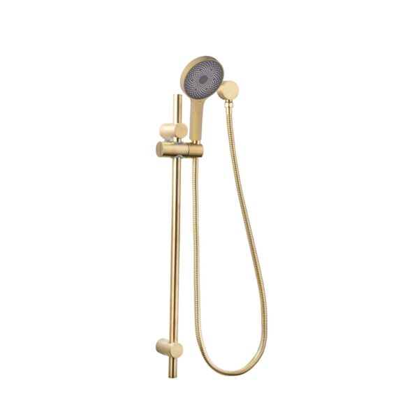 Gabe Brushed Gold Round Hand Shower On Rail