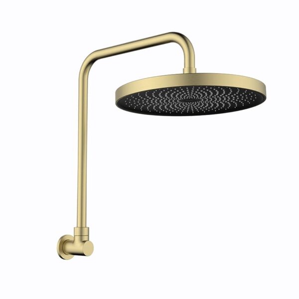 Gabe Brushed Gold Shower Head With Arm