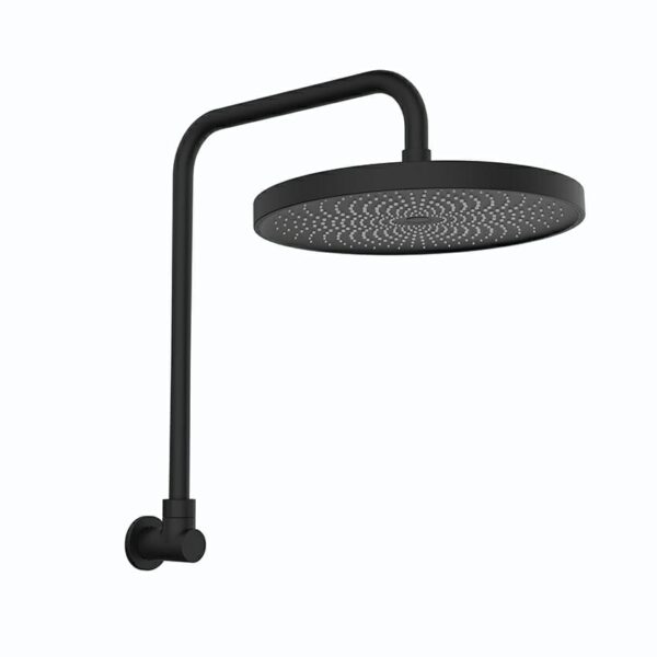 Gabe Matt Black Shower Head With Arm