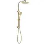 INSPIRE PSSTI-10 PAVIA ROUND TWIN SHOWER ON RAIL TOP WATER INLET 250MM CHROME AND COLOURED - Urban Designs Bathroom and Kitchen