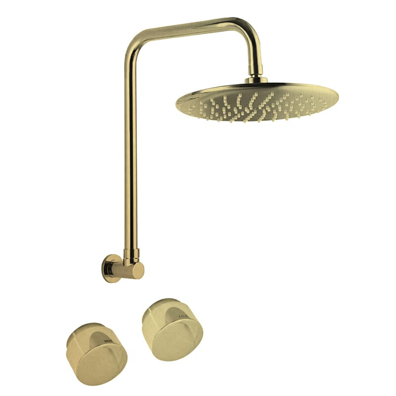 Loui Brushed Gold Gooseneck Shower Set | P6153BG/T9083BG