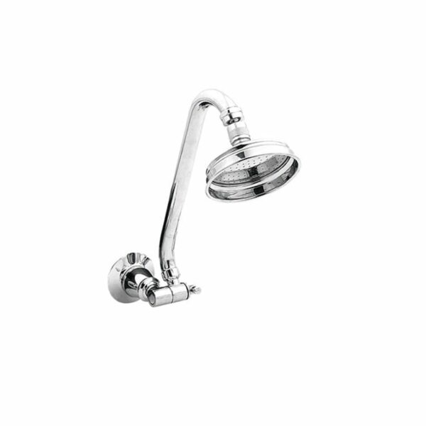 NOOSA Gooseneck Shower Arm and Rose