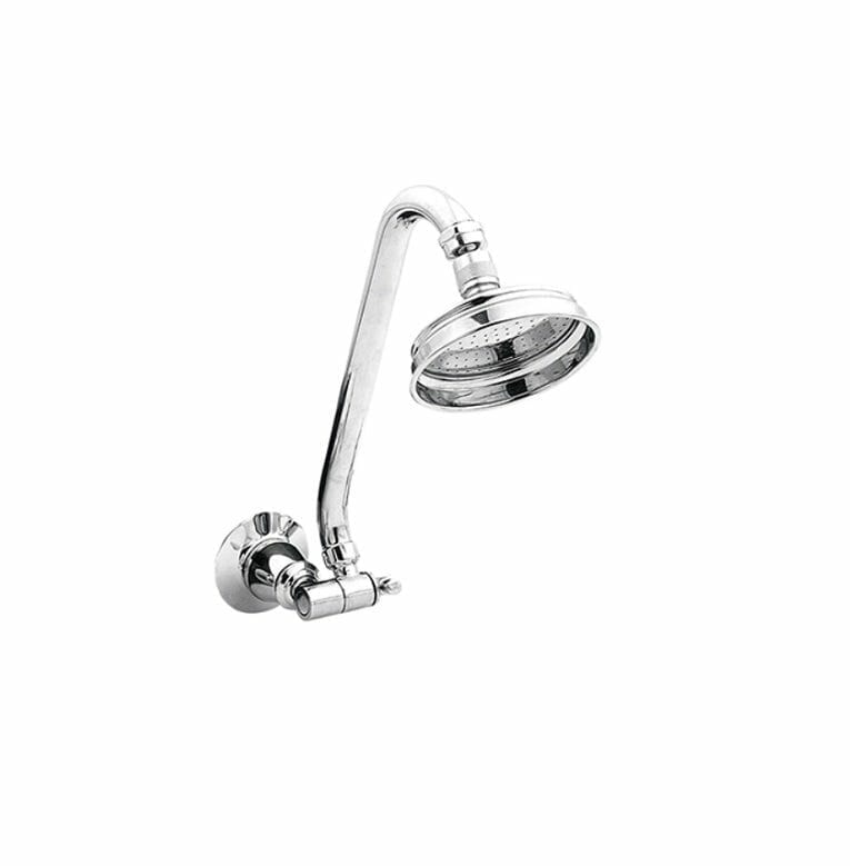 NOOSA Gooseneck Shower Arm and Rose