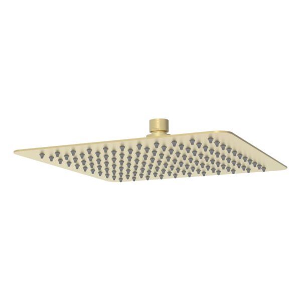 Nova 250mm Square Overhead Shower - Brushed Gold | PRS0901N-BG