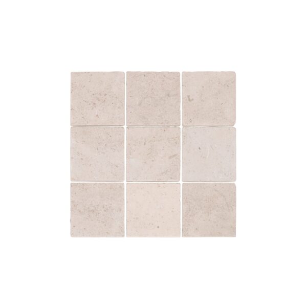 Oyama Natural Stone Square Mosaic Tile