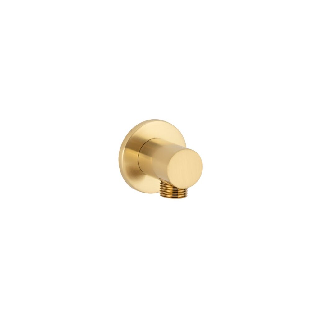 Round Shower BP - Brushed Brass