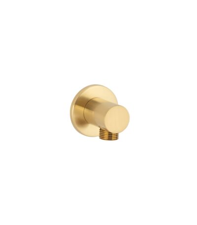 Round Shower BP - Brushed Brass
