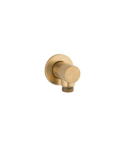 Round Shower BP - Tumbled Aged Brass
