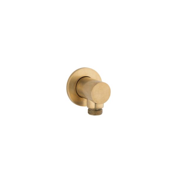 Round Shower BP - Tumbled Aged Brass