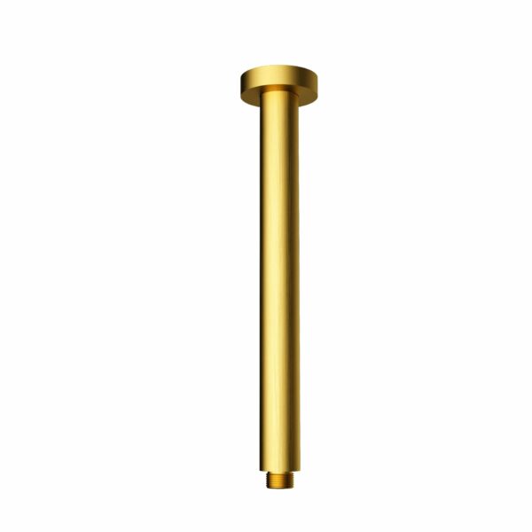 Round Vertical Shower Arm - Brushed Gold | PRY001-BG