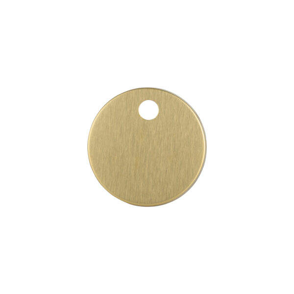Sela Toilet Clips - Brushed Brass