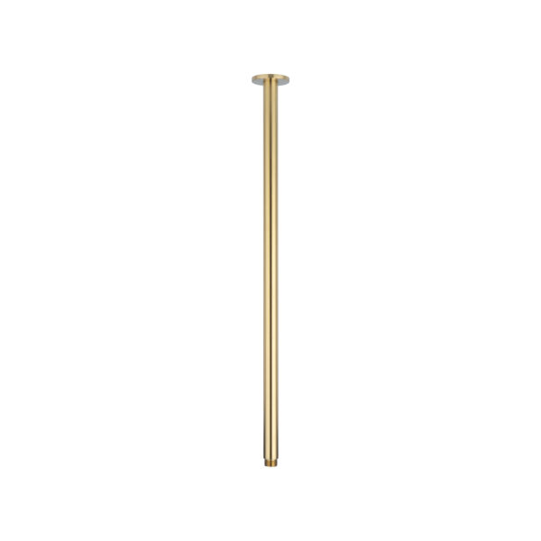 Shower Dropper Extended Round 600mm - Brushed Brass