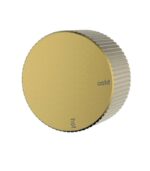 SOKO Progressive Wall Mixer Set - Brushed Gold | HYB77-301BG
