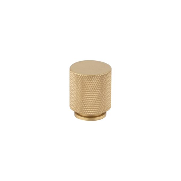 Tezra Textured Cabinetry Knob - Brushed Brass