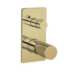 The Gabe Diverter Mixer - Brushed Gold | T709BG