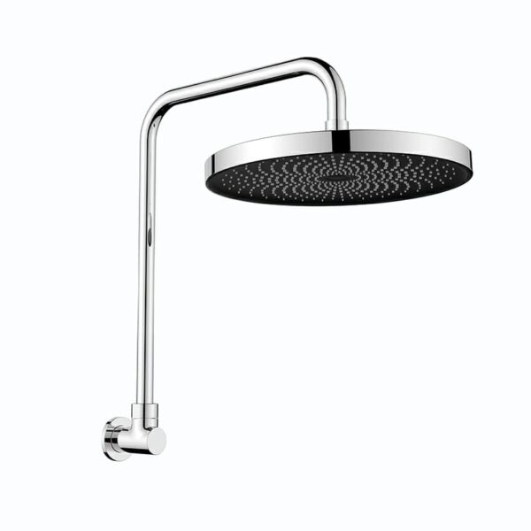 The Gabe Gooseneck Shower – Chrome