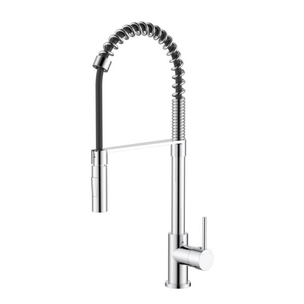 Kasper Spring Multi-Function Kitchen Mixer