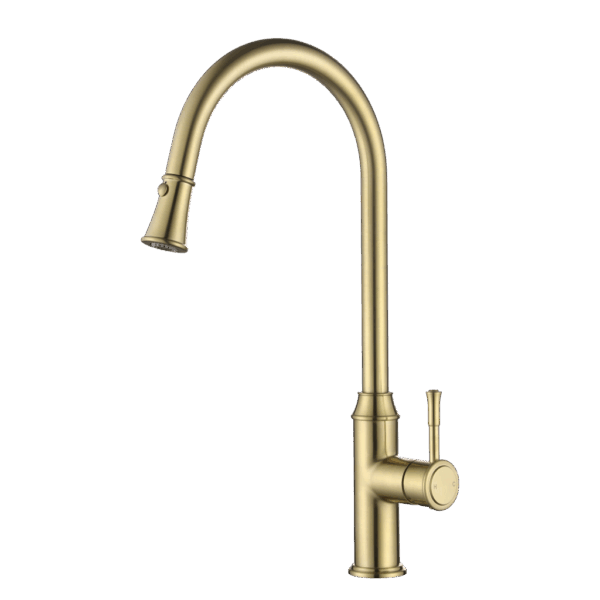 Montpellier Pull-Out Kitchen Mixer