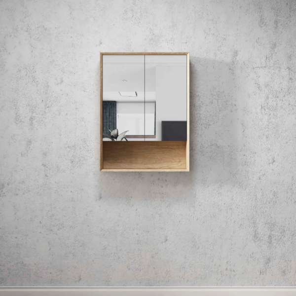 Byron 600x800 Shaving Cabinet